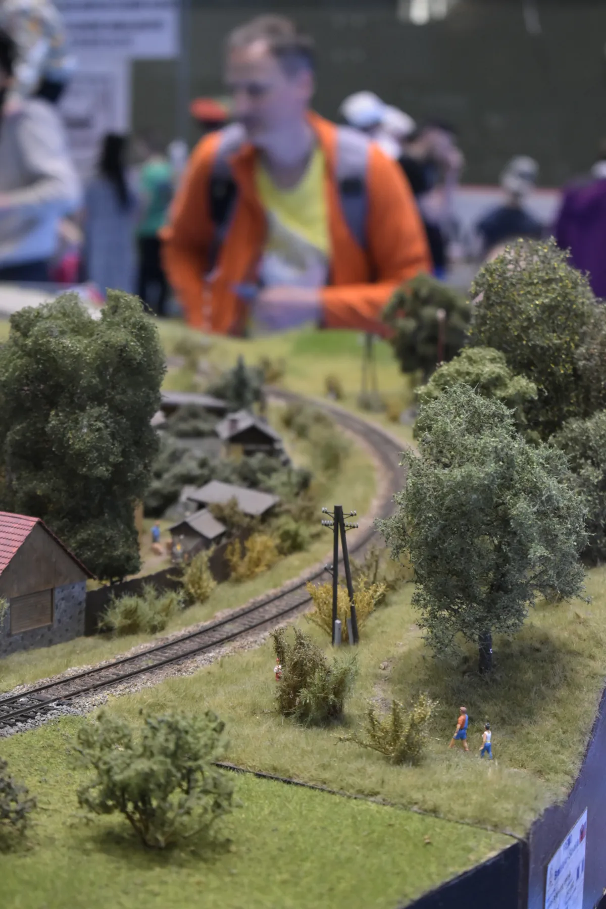 Fotografia z galerie č.7